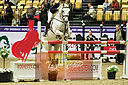 Filnavn=_DSC0706.jpg
Filstørrelse=880KiB
Dimensioner=1224x814
Dato for tilføjelse=%20 %503, %2019 _DSC0706.jpg